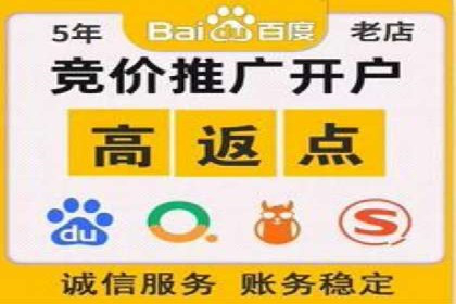 某电商平台的SEM关键词策略及成效分析